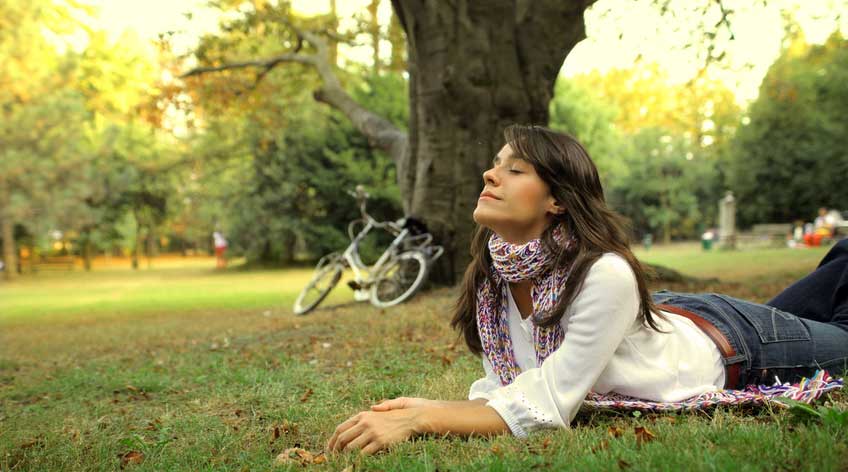 relax on the vineyard, rent a bike